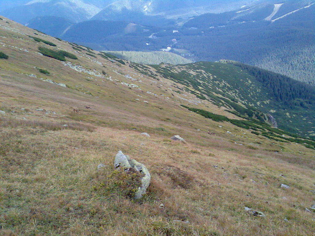 Poľana (Nízke Tatry)