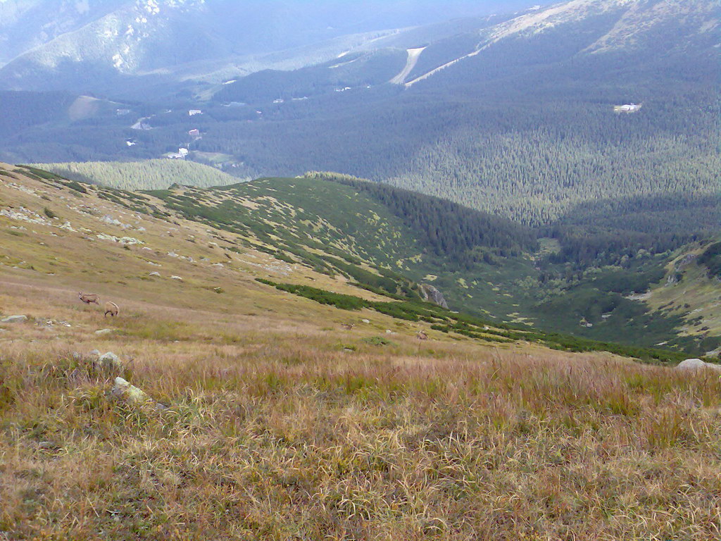 Poľana (Nízke Tatry)