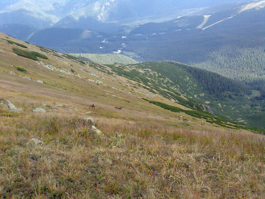 Poľana (Nízke Tatry)