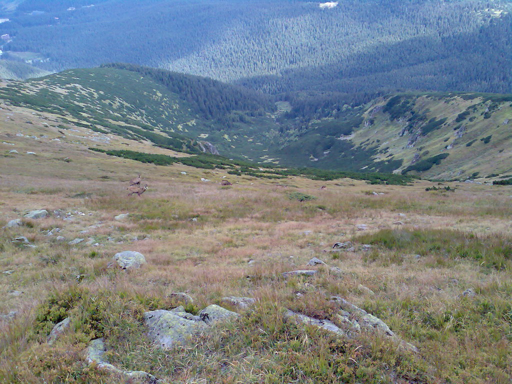 Poľana (Nízke Tatry)