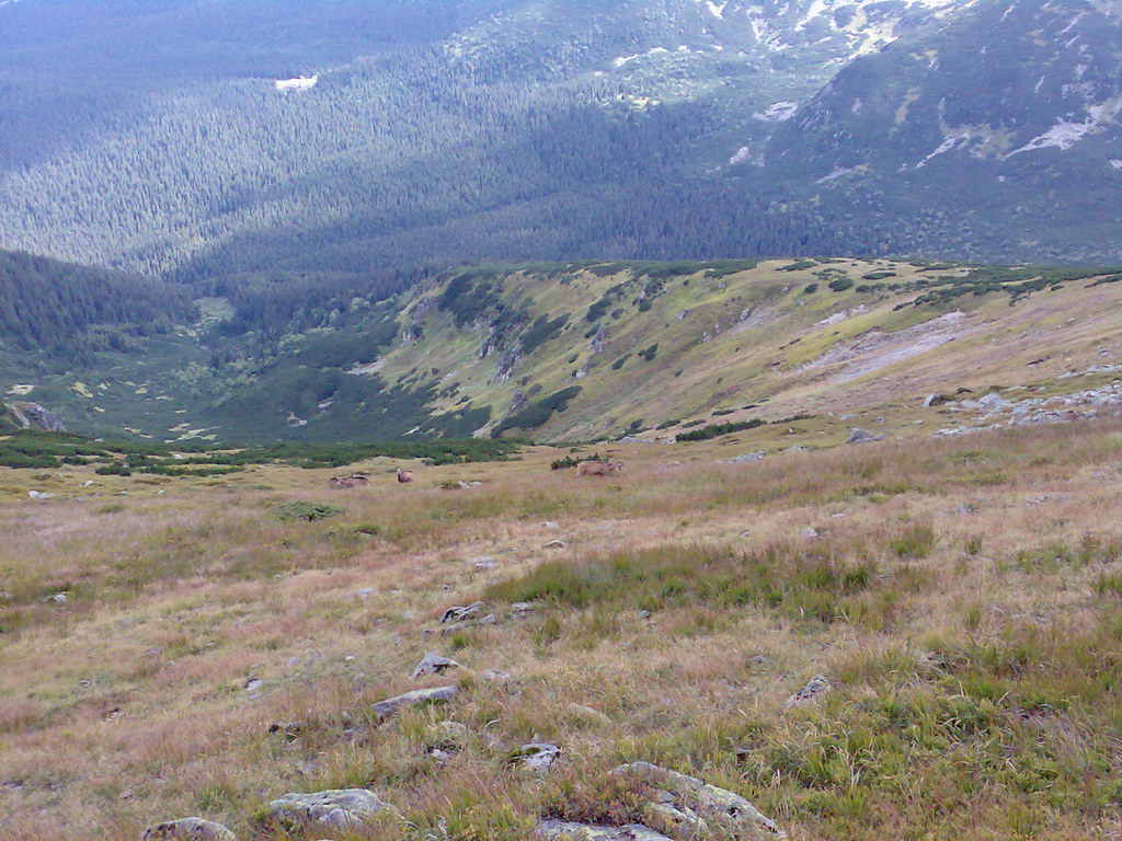 Poľana (Nízke Tatry)