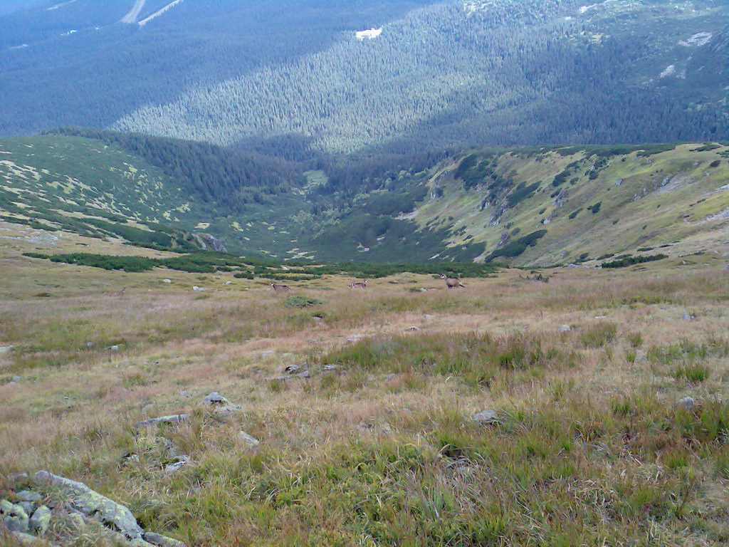 Poľana (Nízke Tatry)