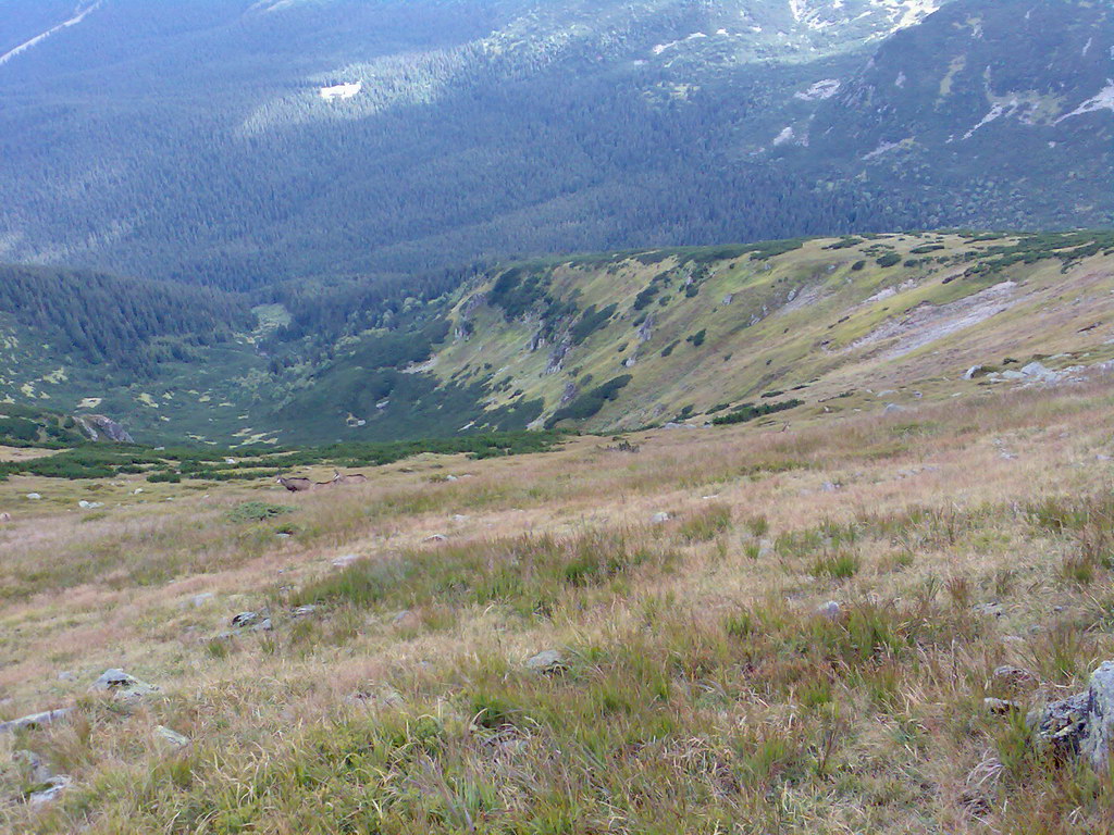 Poľana (Nízke Tatry)