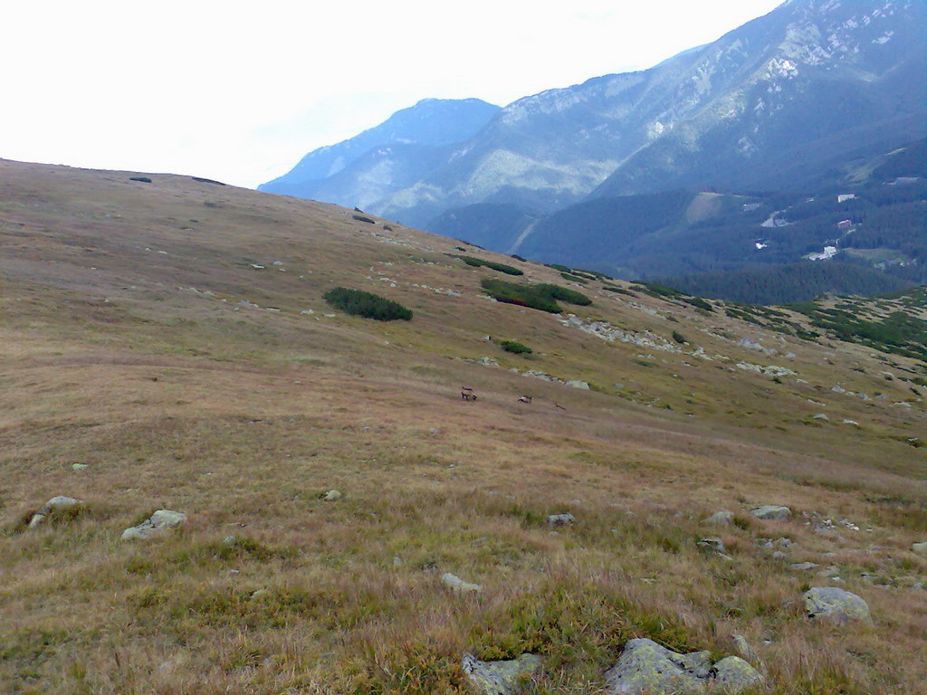 Poľana (Nízke Tatry)