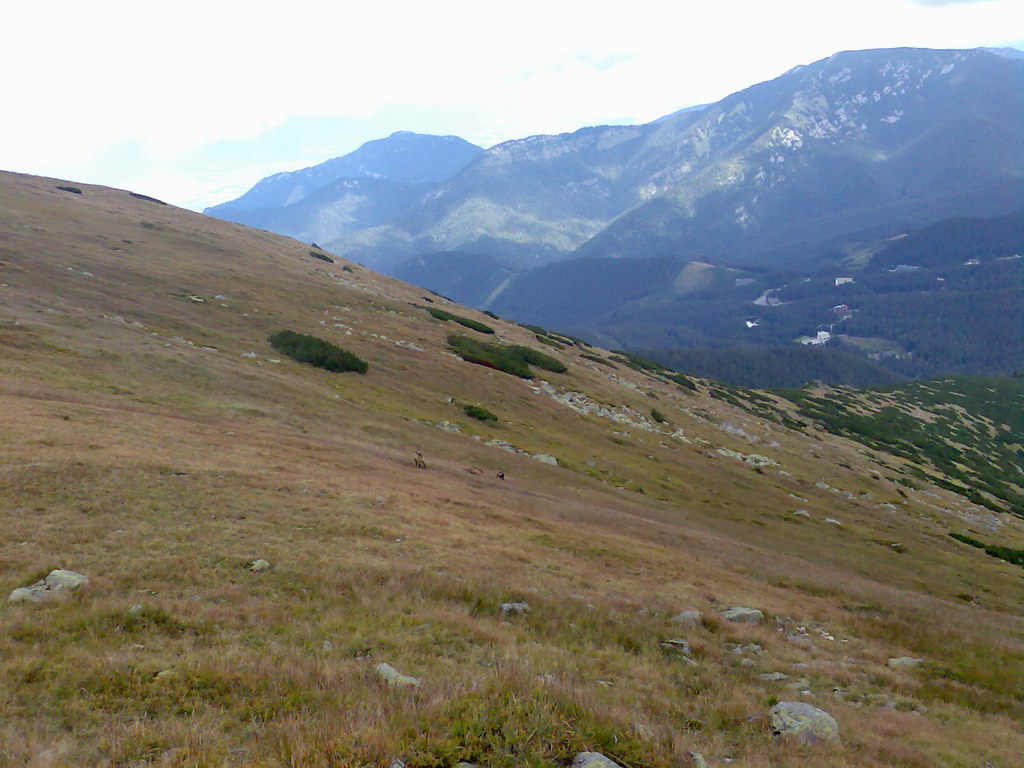 Poľana (Nízke Tatry)