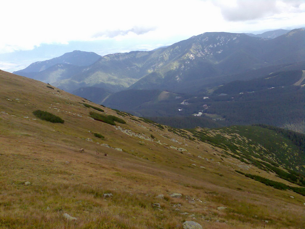 Poľana (Nízke Tatry)