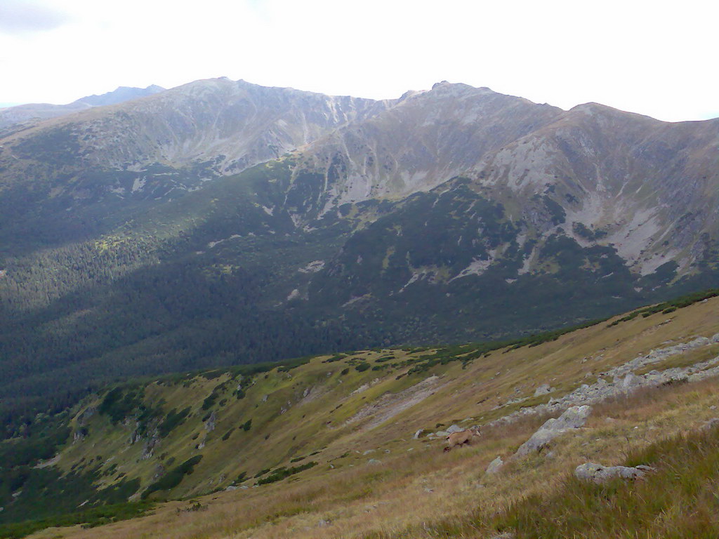 Poľana (Nízke Tatry)