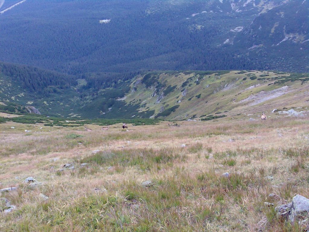 Poľana (Nízke Tatry)