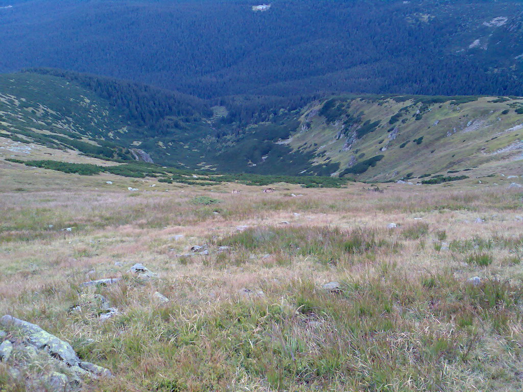 Poľana (Nízke Tatry)