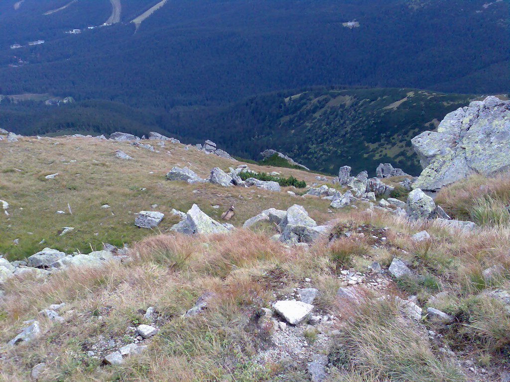 Poľana (Nízke Tatry)