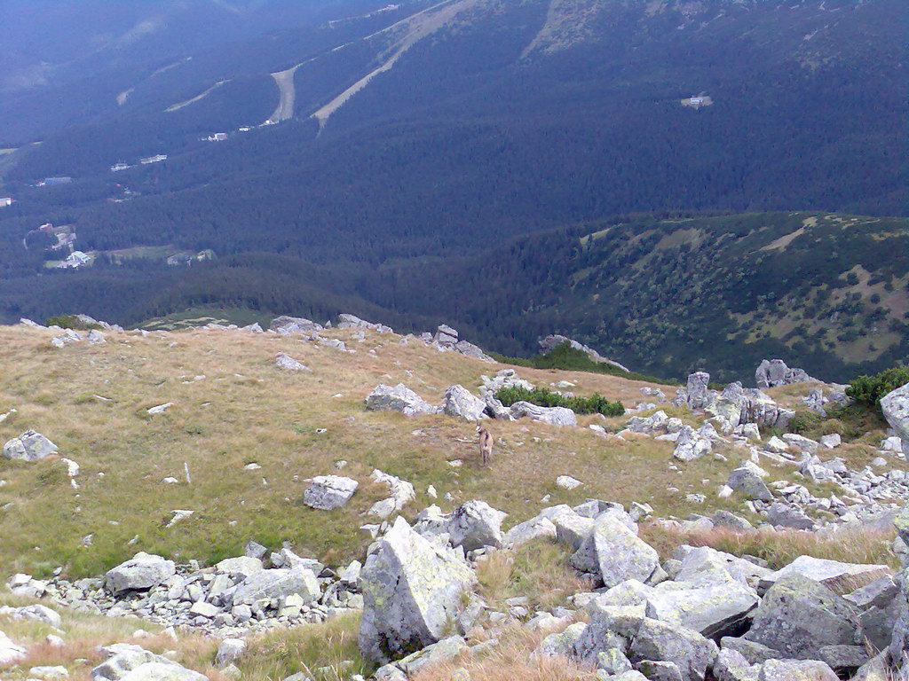 Poľana (Nízke Tatry)