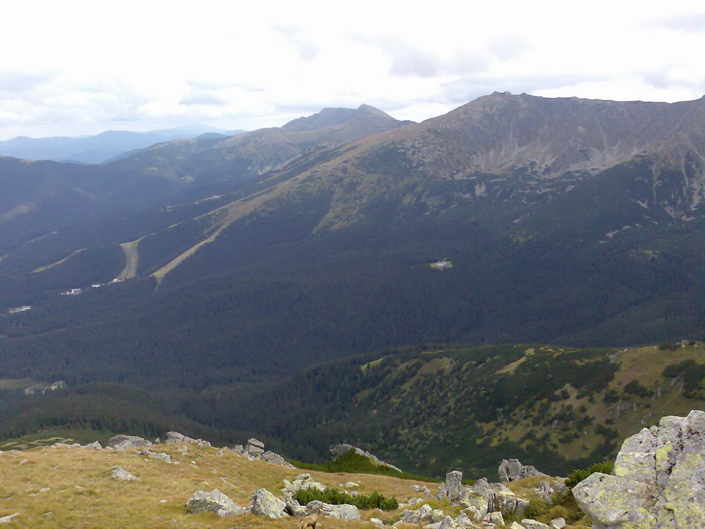 Poľana (Nízke Tatry)