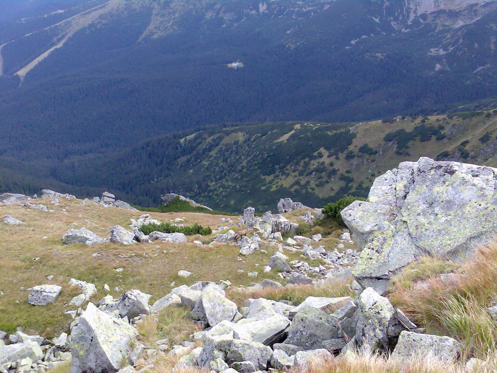 Poľana (Nízke Tatry)