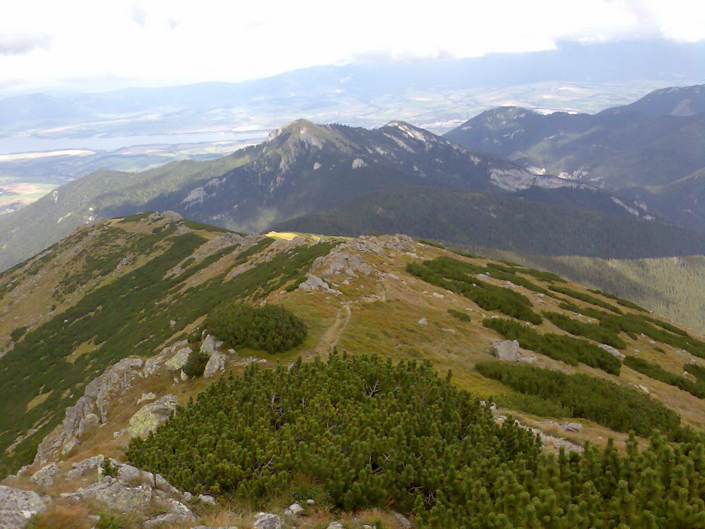 Poľana (Nízke Tatry)