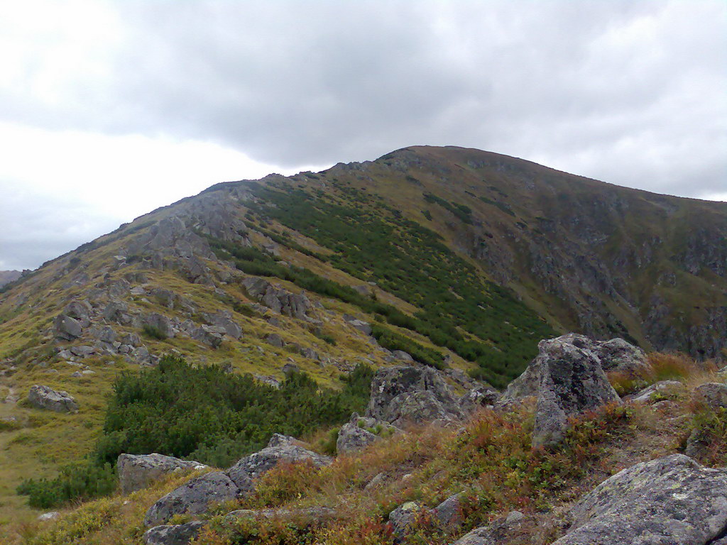 Poľana (Nízke Tatry)