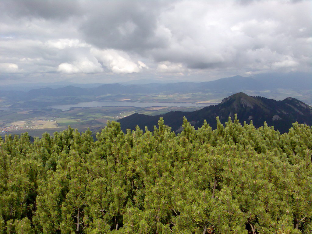 Poľana (Nízke Tatry)