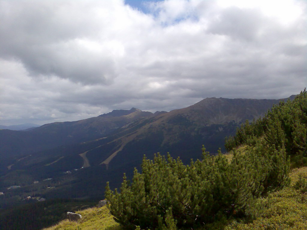 Poľana (Nízke Tatry)