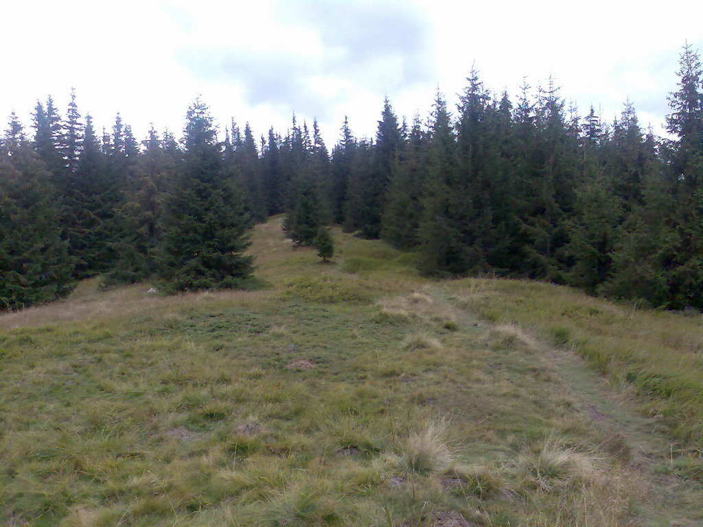 Poľana (Nízke Tatry)