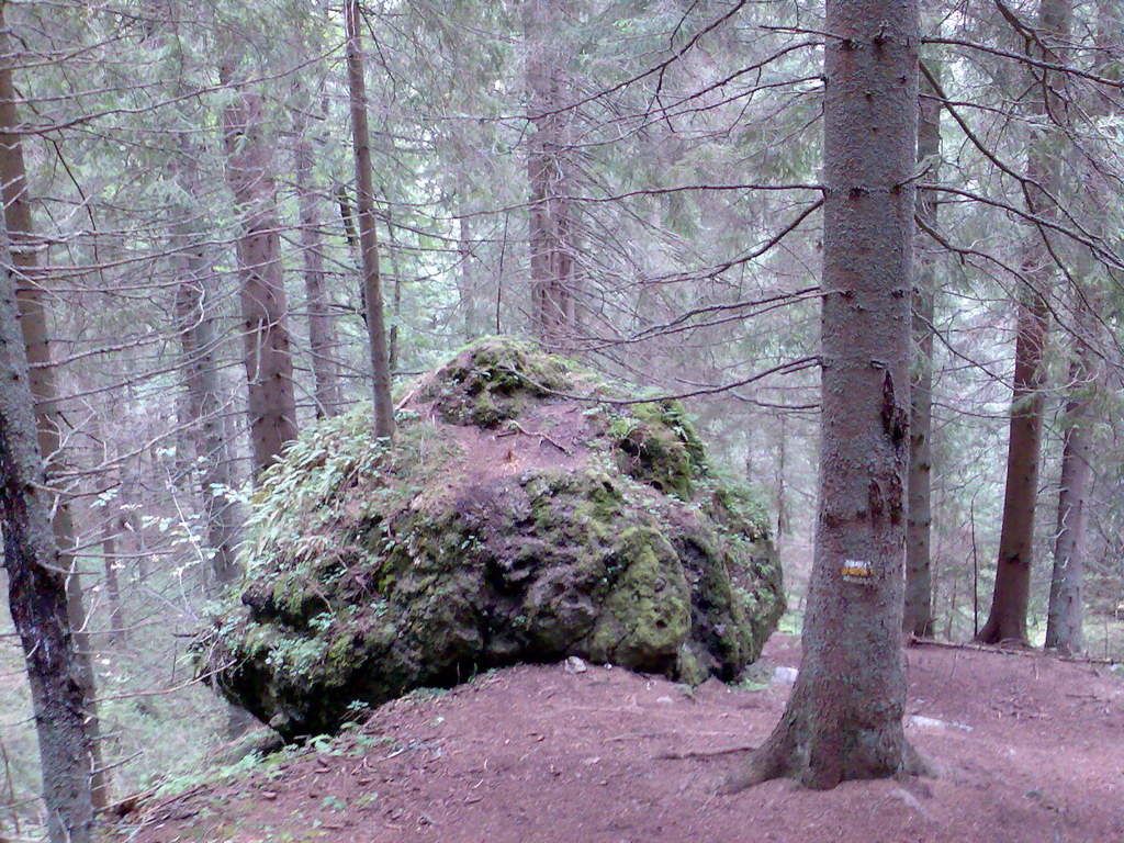 Poľana (Nízke Tatry)