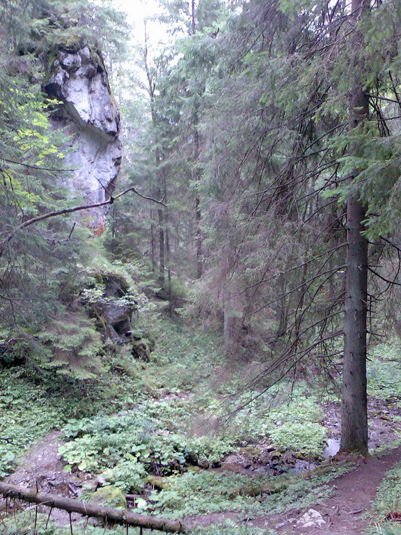 Poľana (Nízke Tatry)