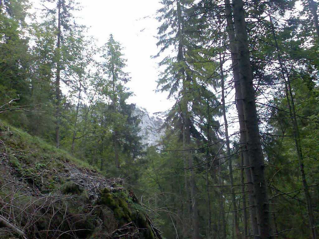 Poľana (Nízke Tatry)