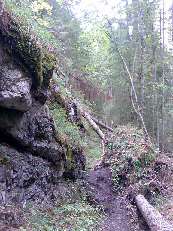 Poľana (Nízke Tatry)