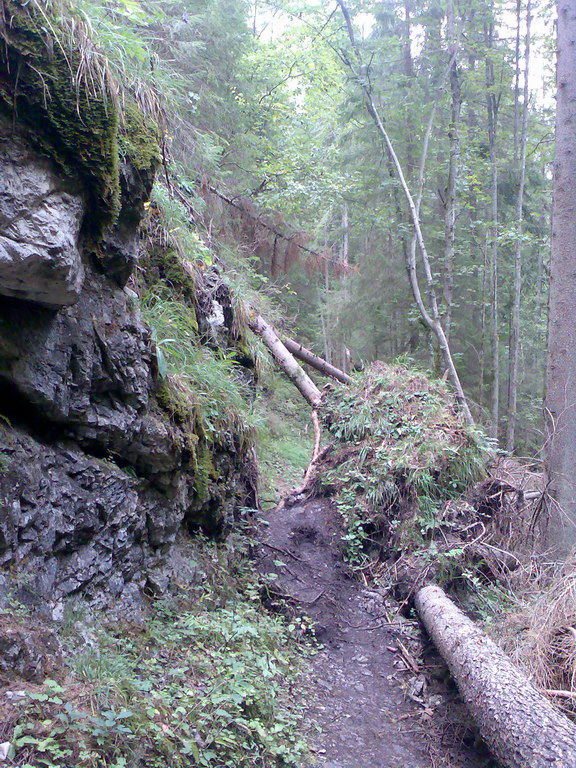 Poľana (Nízke Tatry)