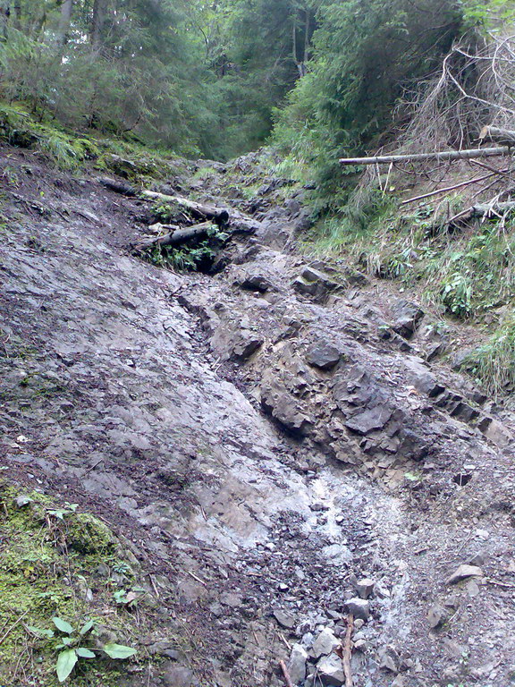 Poľana (Nízke Tatry)