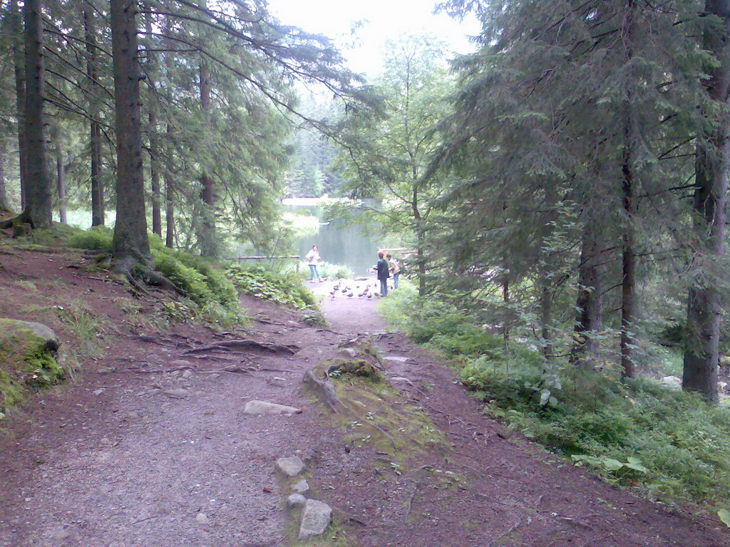 Poľana (Nízke Tatry)