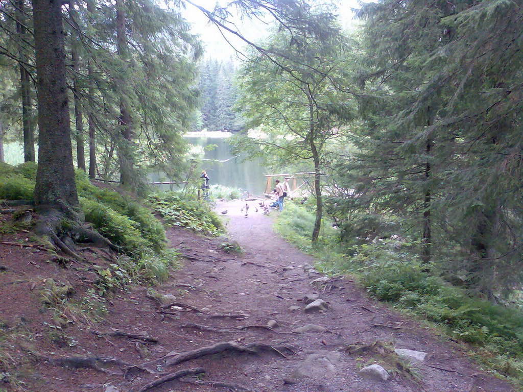 Poľana (Nízke Tatry)