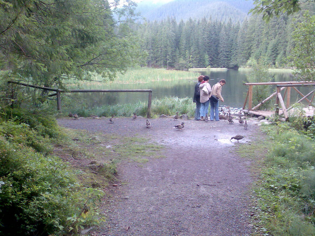 Poľana (Nízke Tatry)