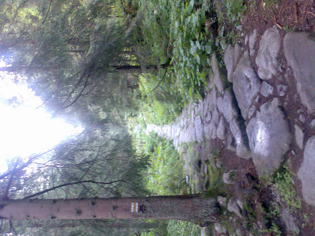 Poľana (Nízke Tatry)