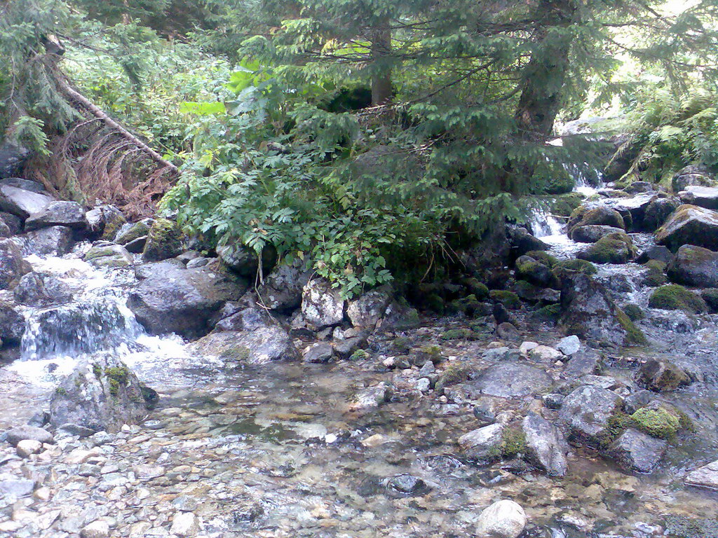 Poľana (Nízke Tatry)