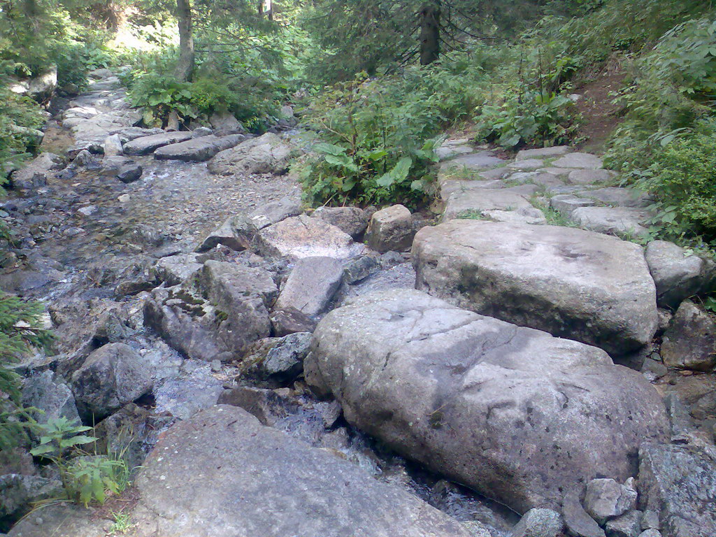 Poľana (Nízke Tatry)