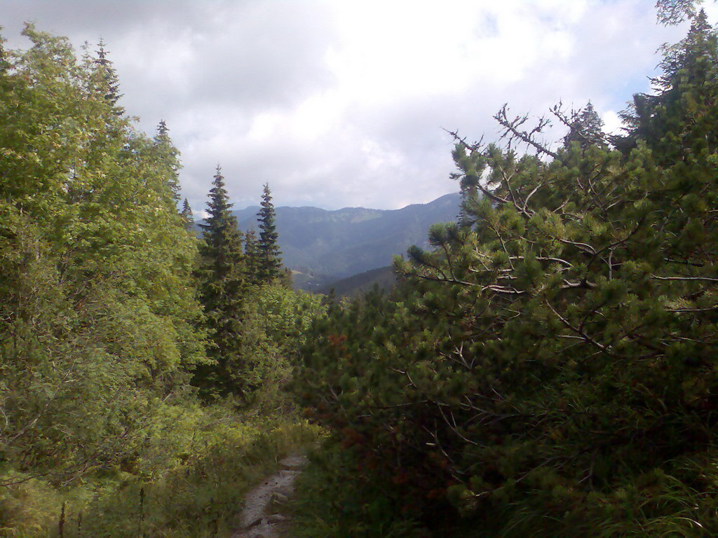 Poľana (Nízke Tatry)