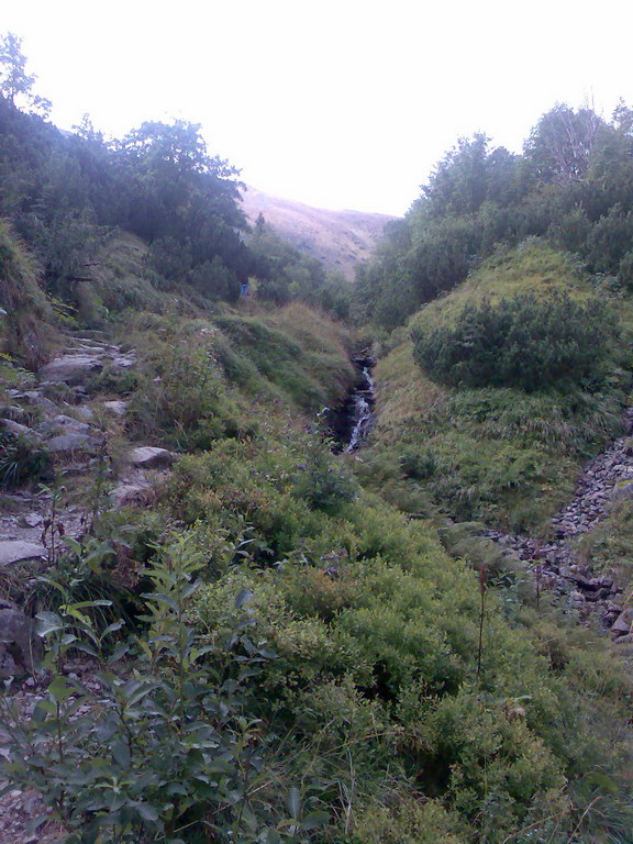 Poľana (Nízke Tatry)