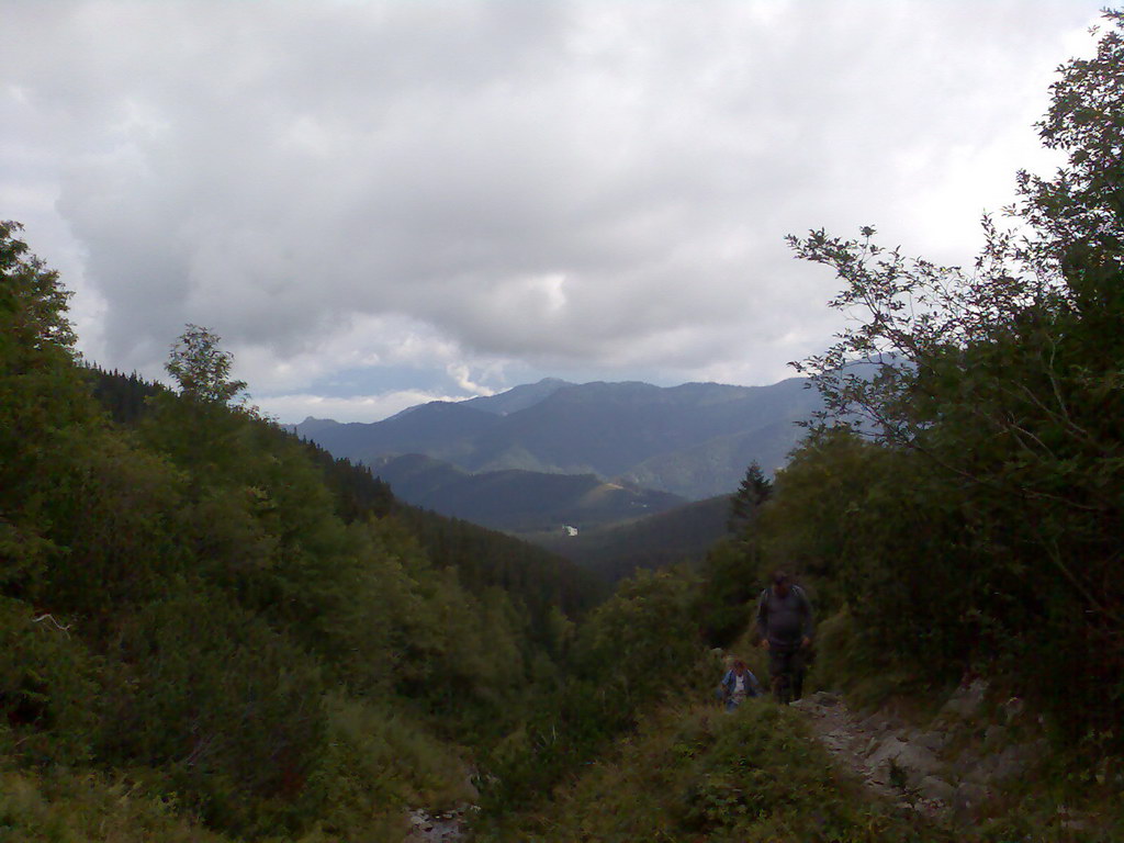 Poľana (Nízke Tatry)