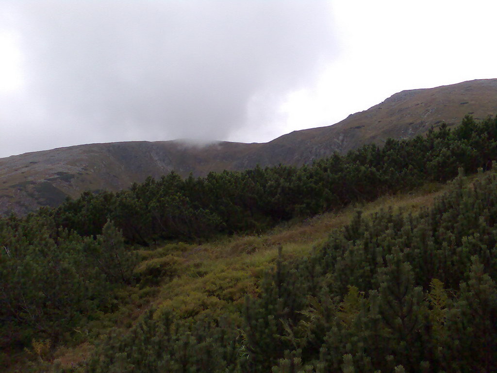 Poľana (Nízke Tatry)