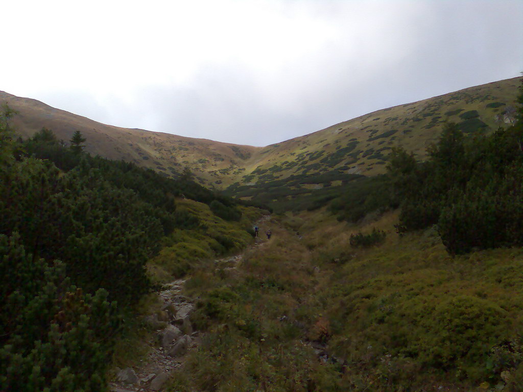 Poľana (Nízke Tatry)