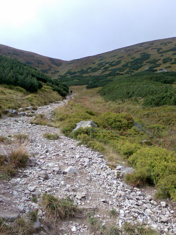 Poľana (Nízke Tatry)