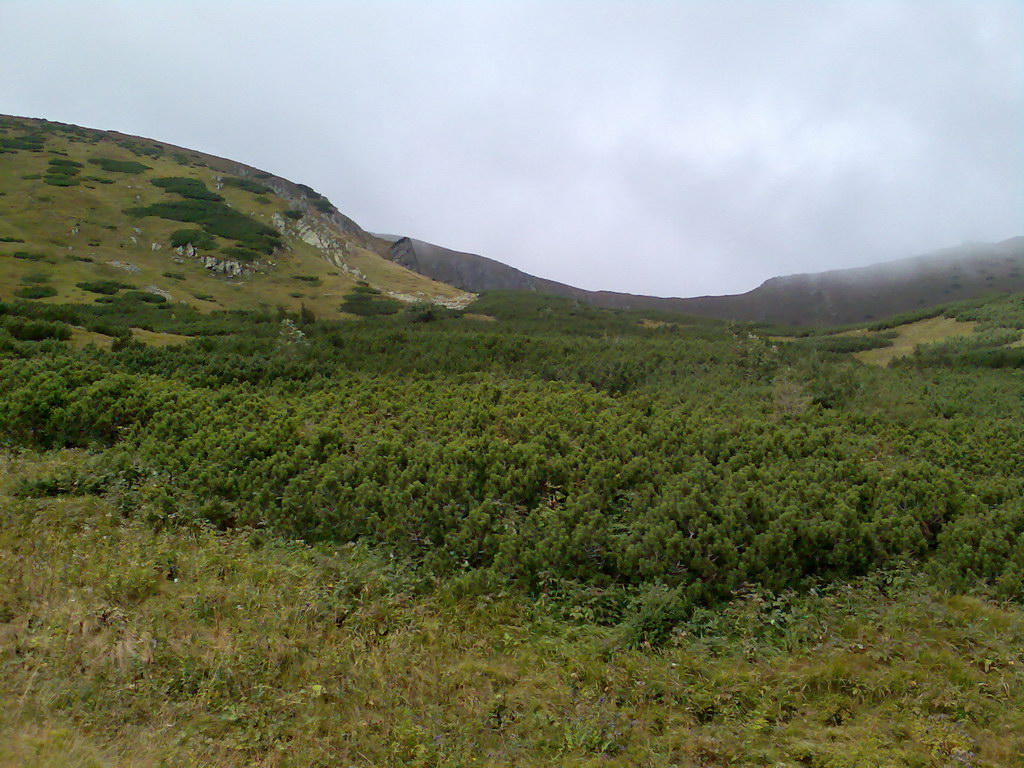 Poľana (Nízke Tatry)