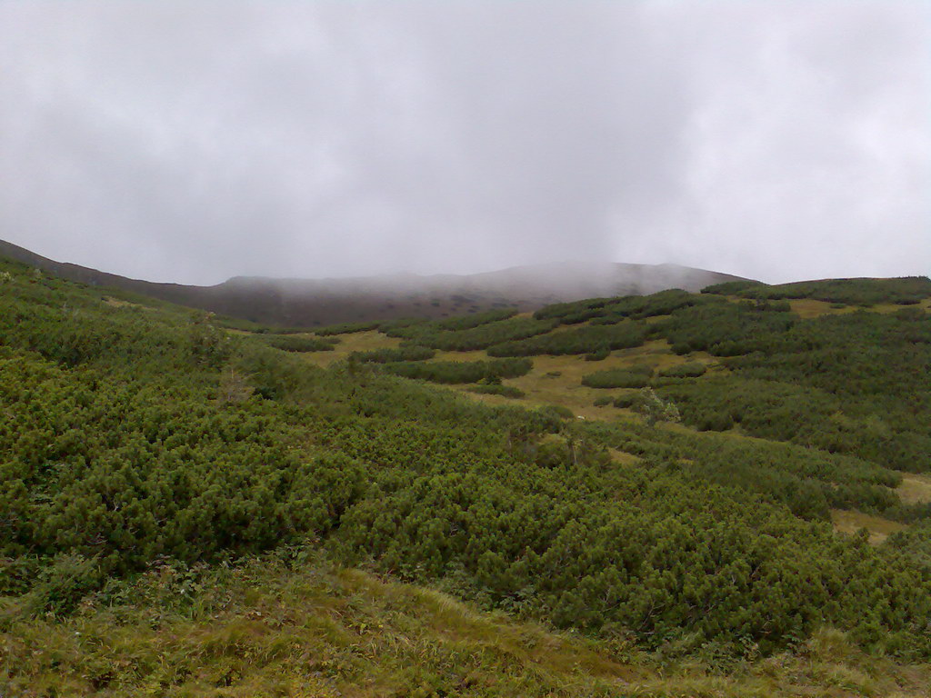 Poľana (Nízke Tatry)