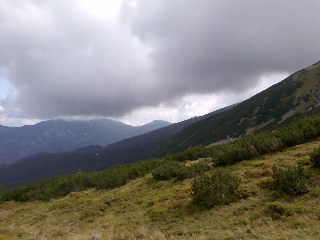 Poľana (Nízke Tatry)