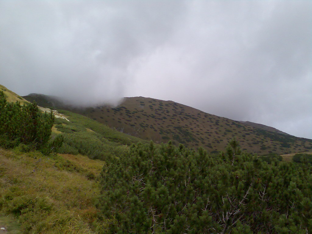 Poľana (Nízke Tatry)