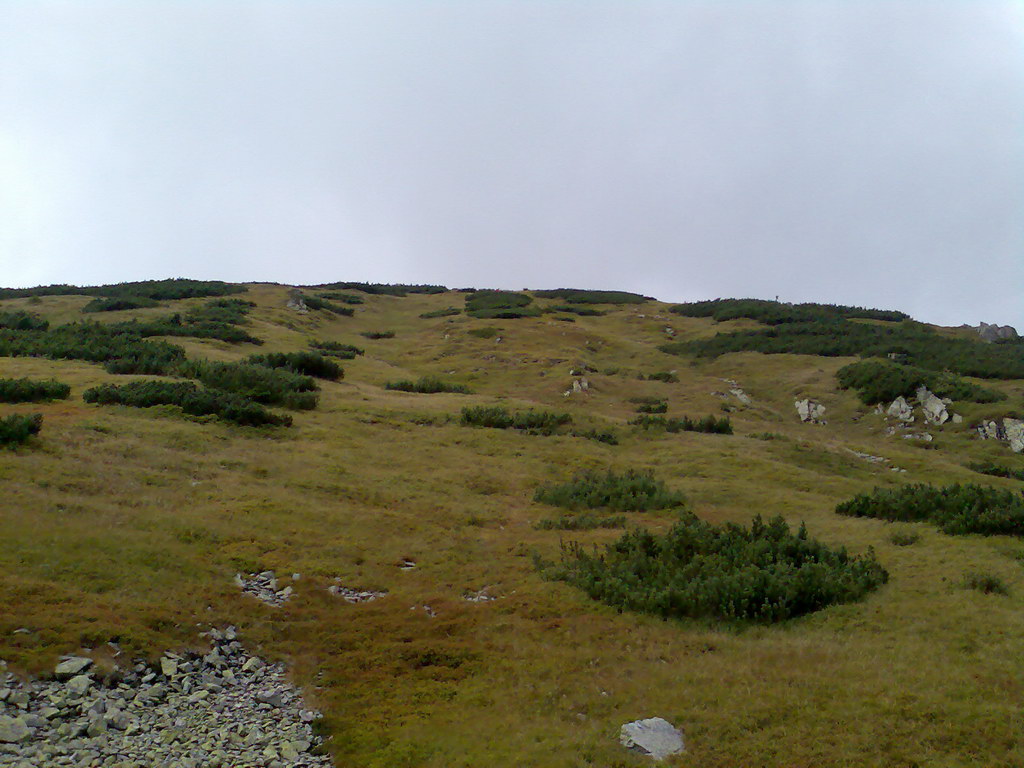 Poľana (Nízke Tatry)