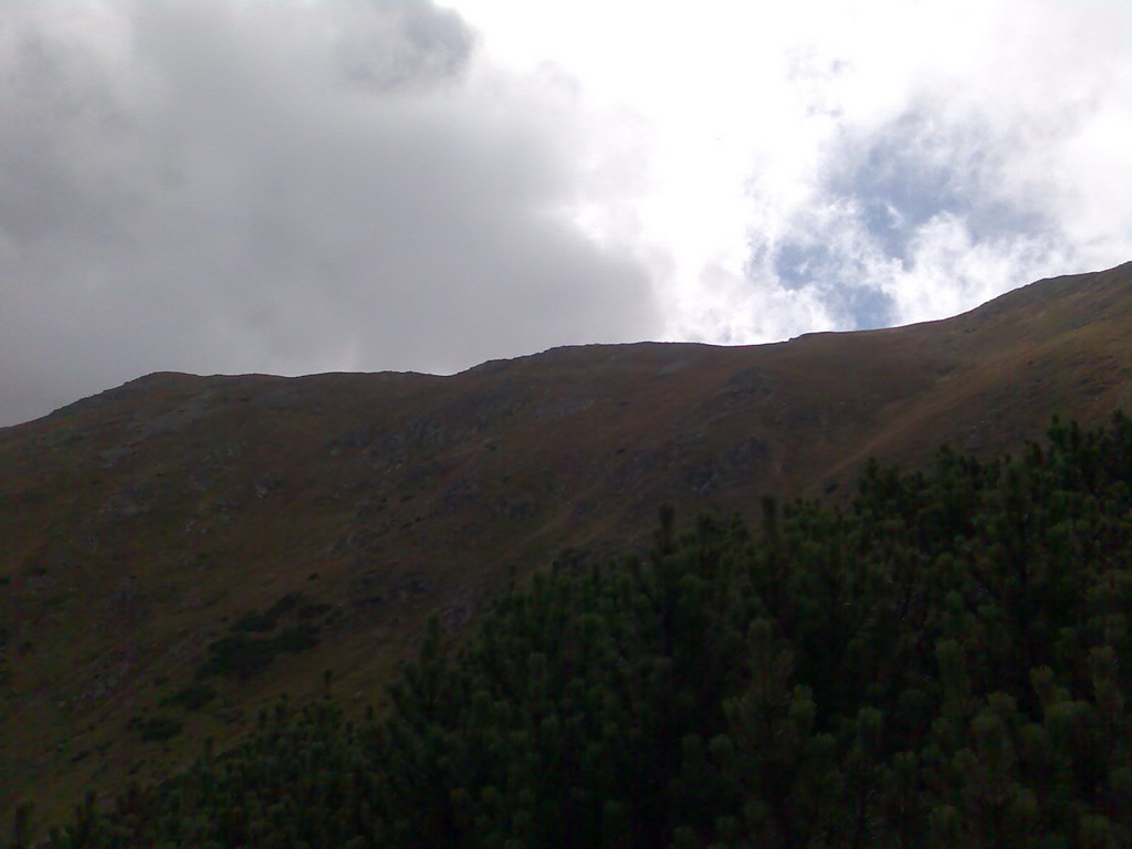 Poľana (Nízke Tatry)