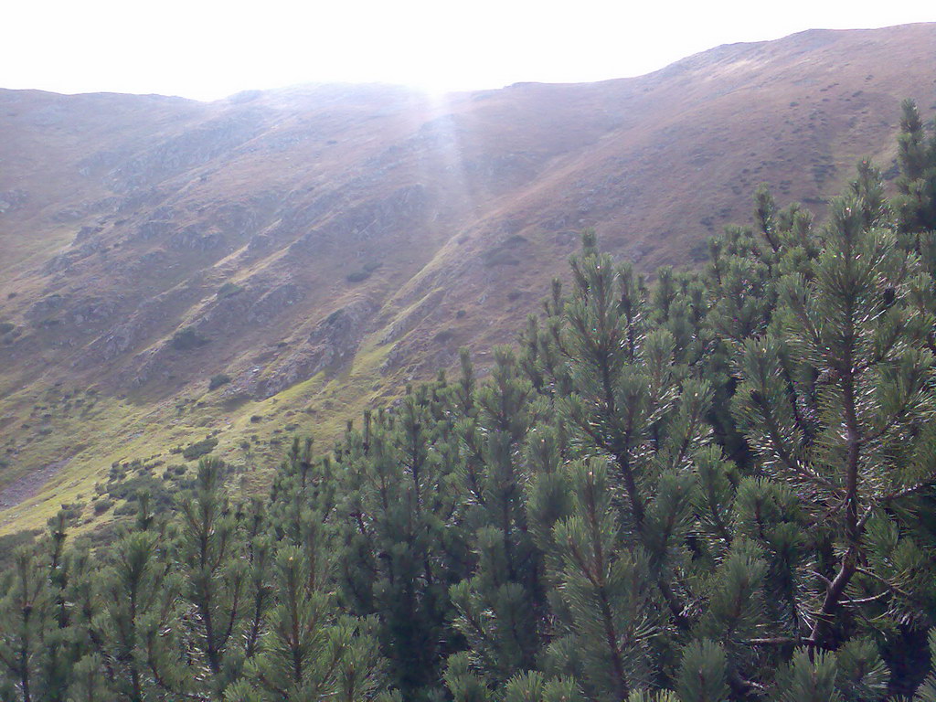 Poľana (Nízke Tatry)