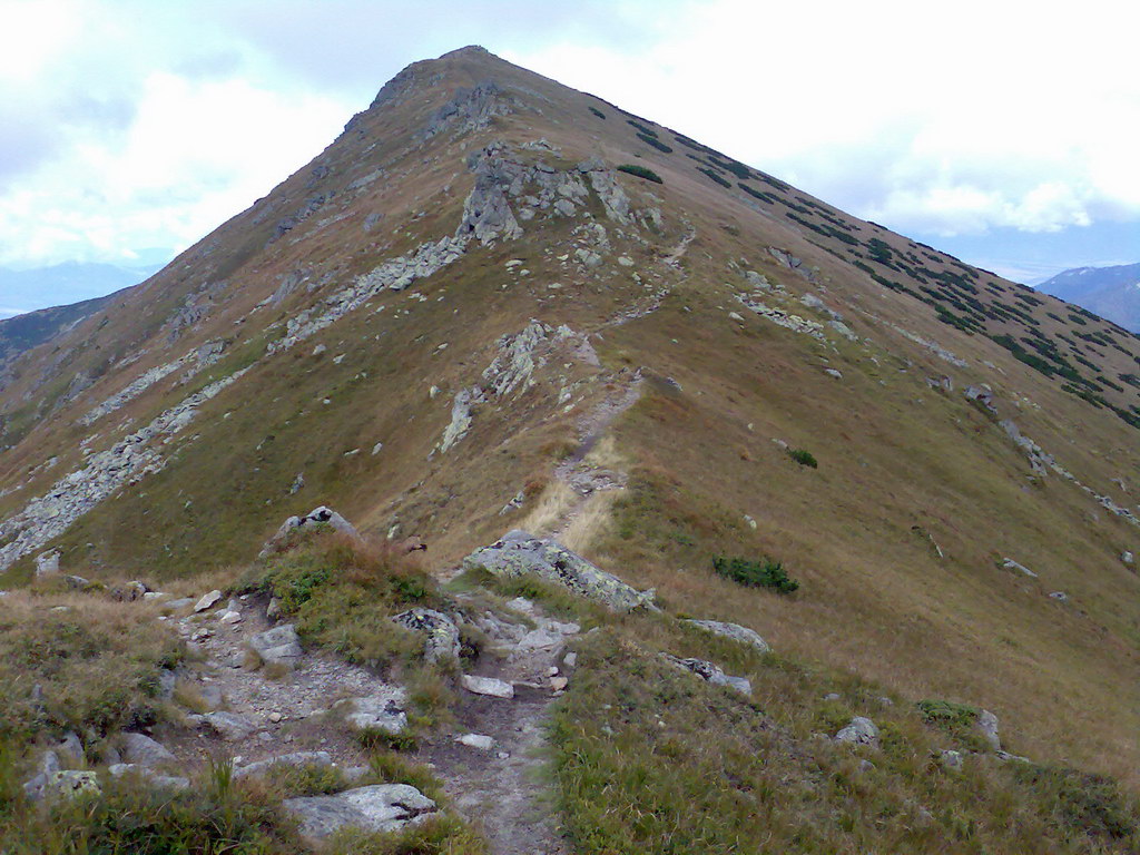 Poľana (Nízke Tatry)