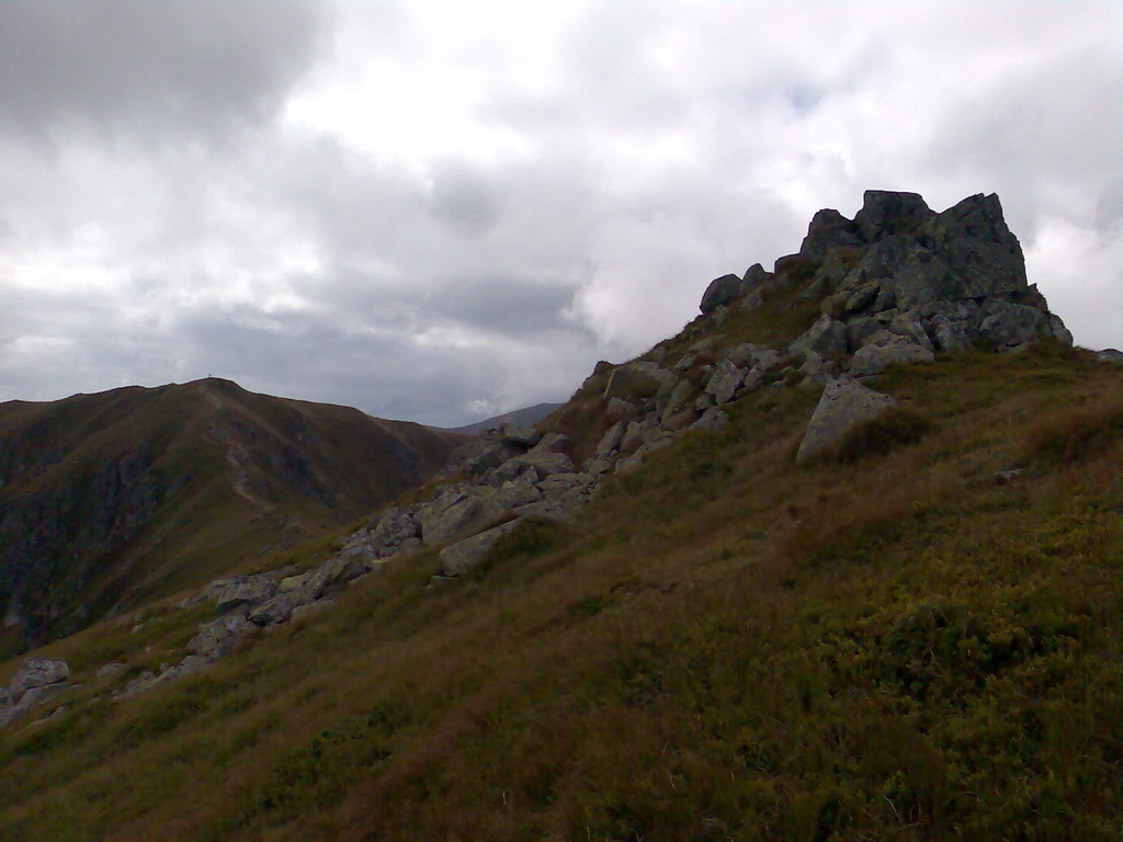 Poľana (Nízke Tatry)