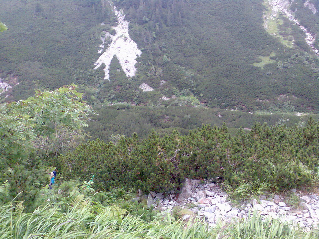 Schronisko w Dolinie Pięciu Stawów Polskich (Vysoké Tatry)